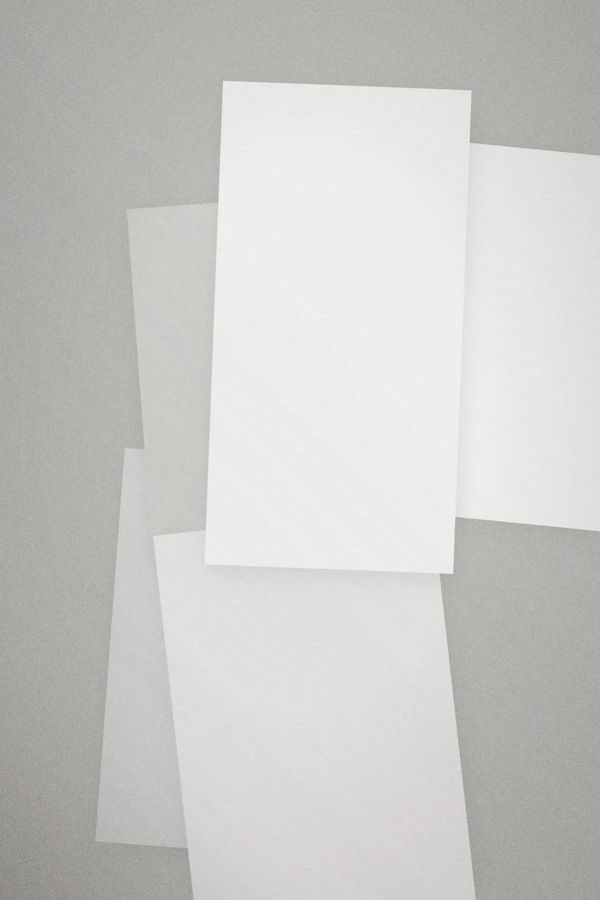 The wall’s surface under raking light.