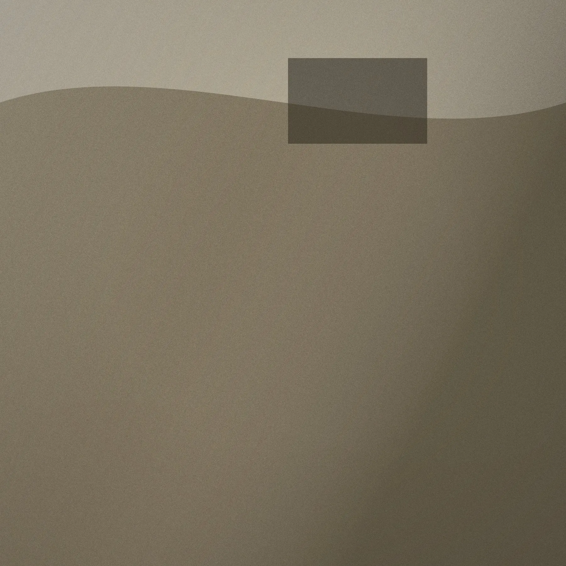 The weekly height comparison, photographed from the same spot each time.